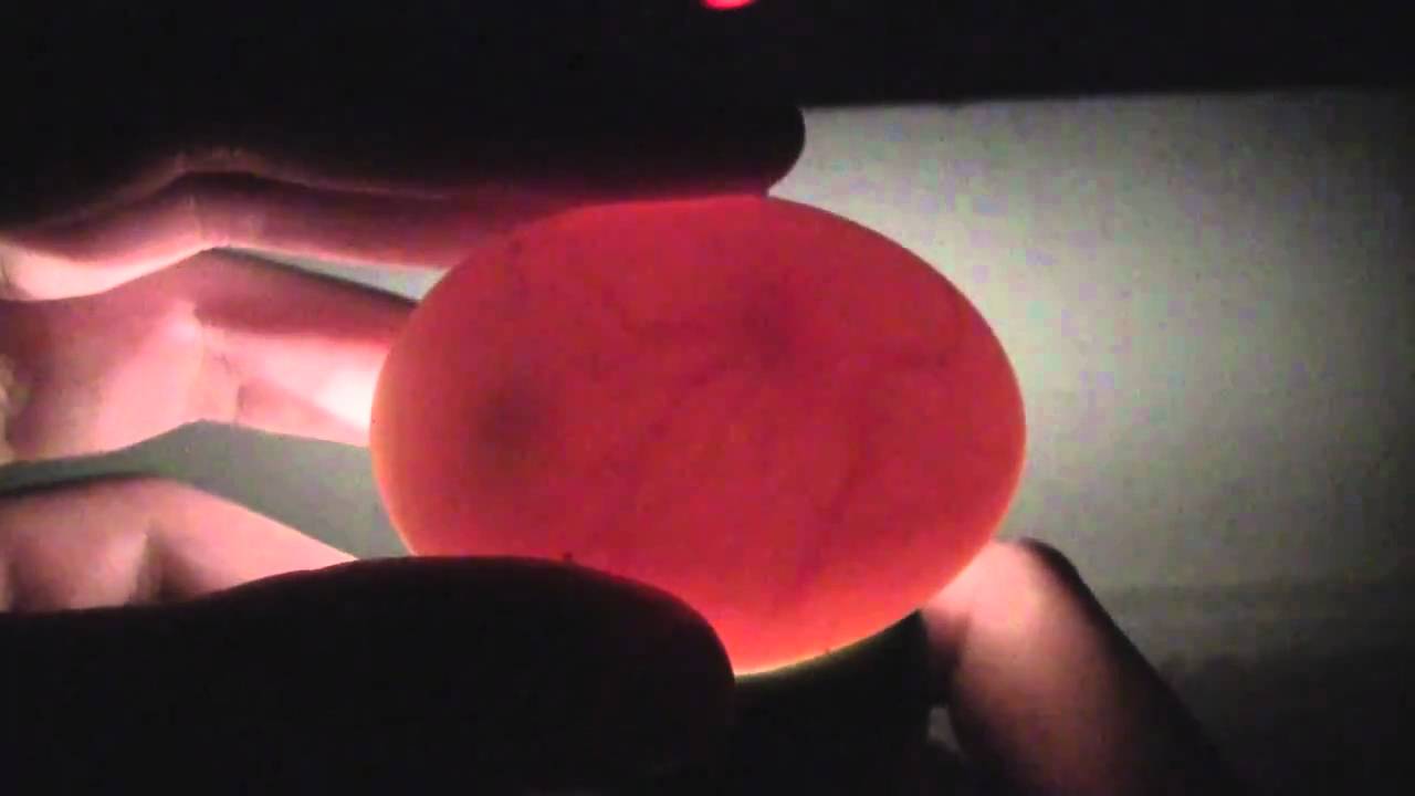 Candling Indian Runner Duck Eggs YouTube Candling Indian Runner Duck Eggs YouTube