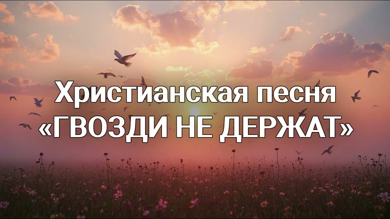 Твой свет – Христианская песня | MusicFlow