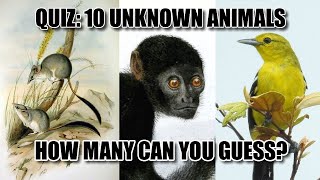 Guessing Game: 10 UNKNOWN Animals Quiz 🐢 (Part 1) screenshot 1