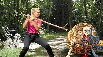 animal rescue : rescue mother dalmatian dog from giant python attack