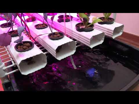 HydroBot Overview