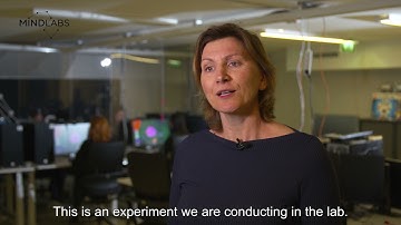 Coordination Dynamics 2 - English