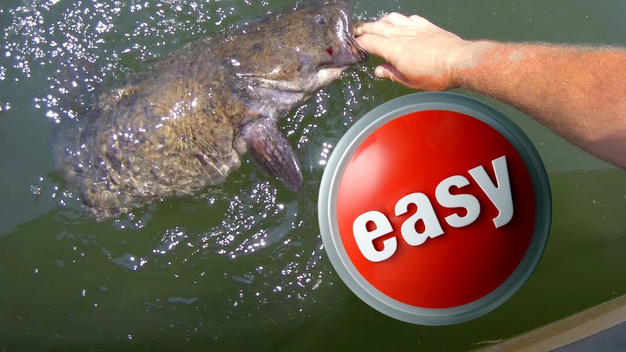 Catfishing: Use What is Easy! 