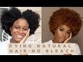 HOW to DYE Natural Hair WITHOUT BLEACH || Simple, Quick & Easy