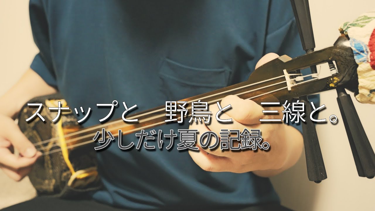 若者のすべて（三線ver.）｜フジファブリック × 工工四 × 夏の記録