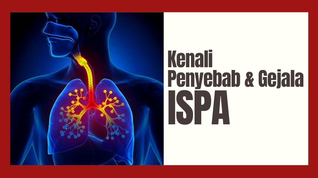 Kenali Faktor Penyebab Dan Gejala Seputar Infeksi Saluran Pernafasan