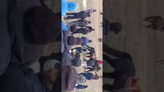 картинка: бузкаши дар кухистони мастчох дехаи хайробод шероз пахлавон