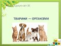 38 ТВАРИНИ — ОРГАНІЗМИ. ЯДС 3 клас автор підручника І.Жаркова