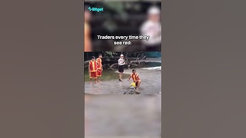 Panic selling explained 😂