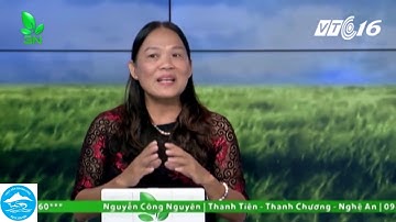 Bệnh Streptococus liên cầu khuẩn ở cá rô phi