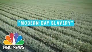 ModernDay Slavery Ring Busted In GA: How Federal H2A Visa Programs Can Lead To Exploitation