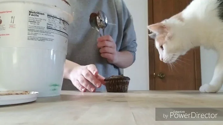 I attempt to frost cupcakes while Luna watches