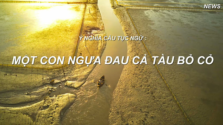 Con của con ngựa gọi là con gì