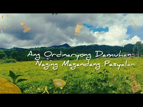 Ang Ordinaryong Damuhan, Naging Magandang Pasyalan [see the result]