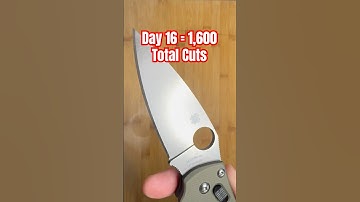 Day 1️⃣6️⃣: Maxamet Edge Retention Testing with Spyderco Manix 2