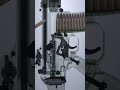 South Korean rifle #k2