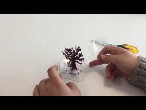 Magic Sakura -