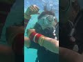 Scuba Diving at Maldives #shorts #short #scubadiving