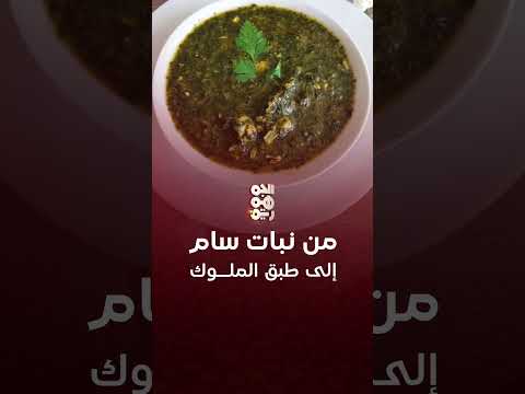 قصة الملوخية: كيف تحولت من نبات سام إلى طبق الملوك | حوار مطبخين