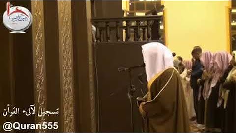 للشيخ ناصر القطامي سورة القلم رائعه جدا