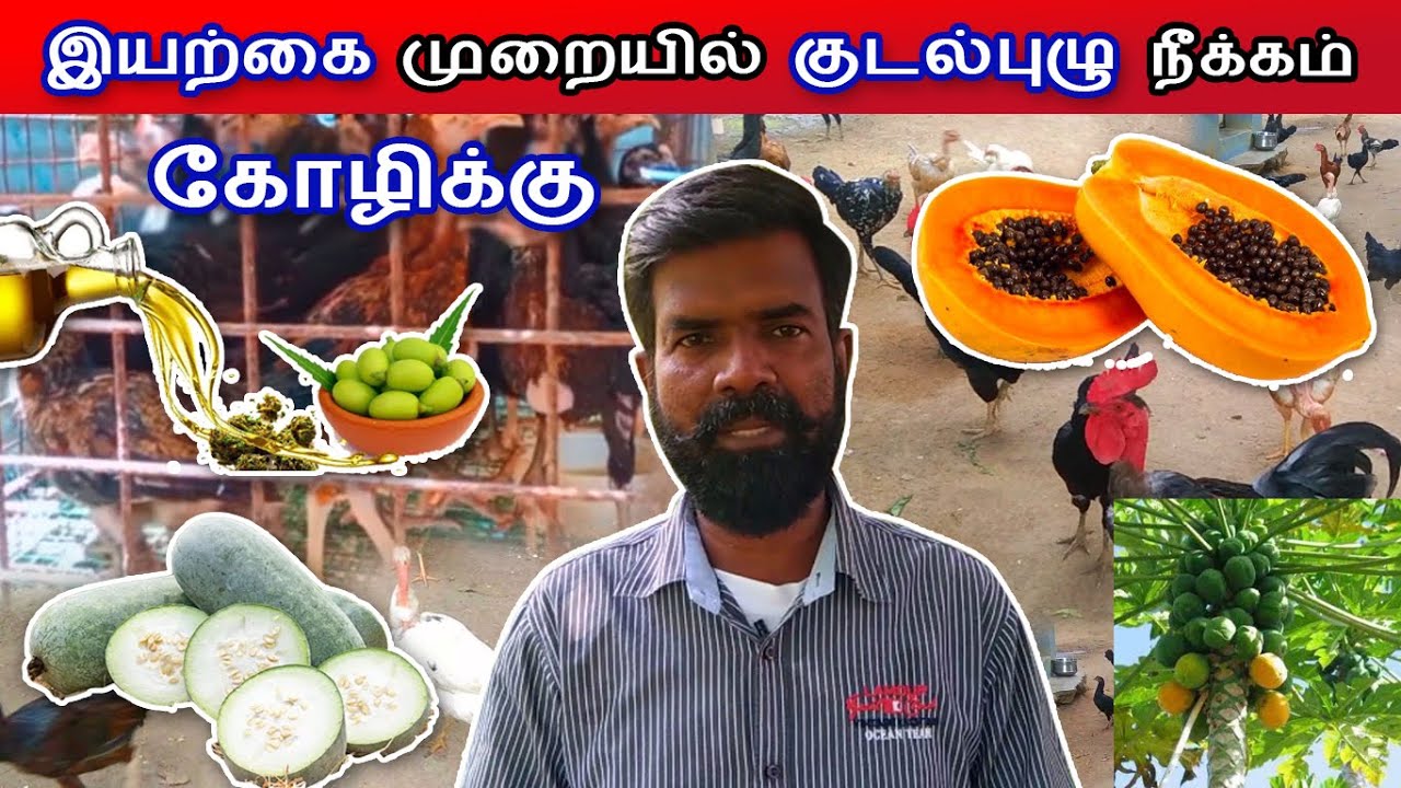 இயற்கை முறையில் குடல்புழு நீக்கம் | How to do DEWORMING Naturally | TAMIL | GUNA NATTUKOZHI PANNAI