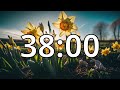 38 minutes timer with music  spring timer