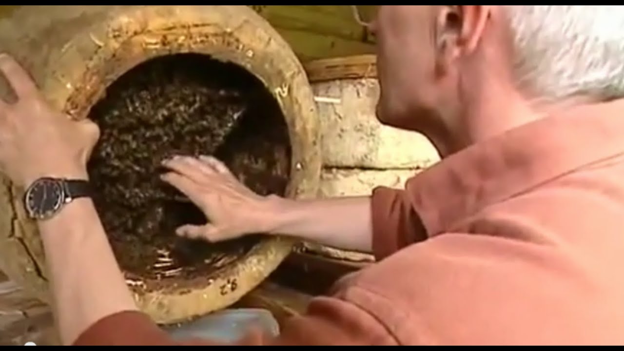 Der Bienenflüsterer