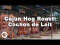 Cajun Hog Roast: Cochon de Lait Festival