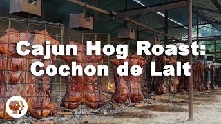 Cajun Hog Roast: Cochon de Lait Festival