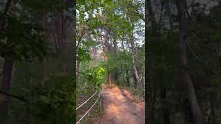 “Afterglow”  #힐링 #nature #sunset #calm #flow