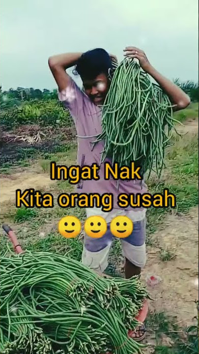 STT wa kekinian