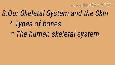General Science|| class:- 6th || 8.Our skeletal System and the Skin (video part-2)Mr.Santosh chavan.