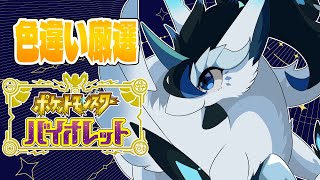 【ポケモンSV】朝活色違い厳選開始します～！二時間経っても来ない色違い厳選！いつ出るのか；；【四季ろあ/雑談】