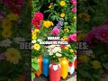 Revamp Your Garden with Recycled Plastic Bottle Planters