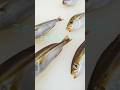 この魚、わかったら魚通 #shorts #魚クイズ