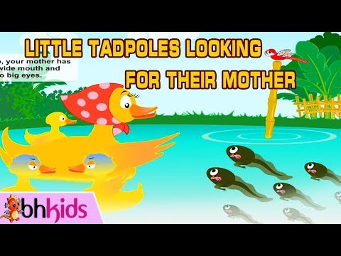 Little Tadpoles - Bedtime Story | Học Tiếng Anh Qua Truyện Cổ Tích