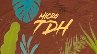 Te Vi😍 - Piso 21 Ft Micro TDH 🎵🎵