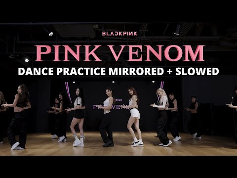 Blackpink - 'Pink Venom' Dance Practice 0.5X 0.75X Slowed Full Speed | Live For Seokjin