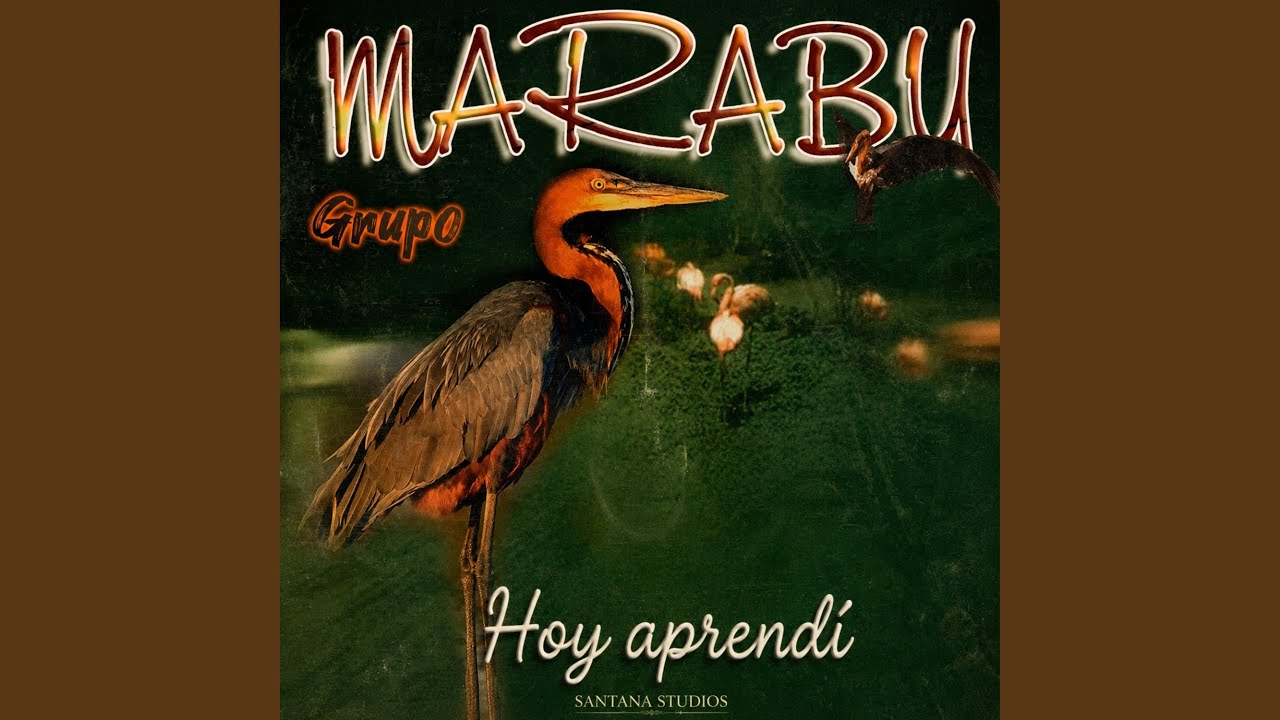 Hoy aprendí