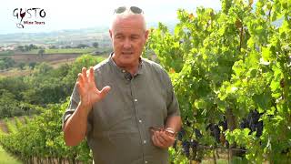 Gusto Wine Tours in Montefalco, Umbria