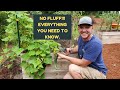 How to Prune Cucumber Plants for Maximum Production and Disease Prevention