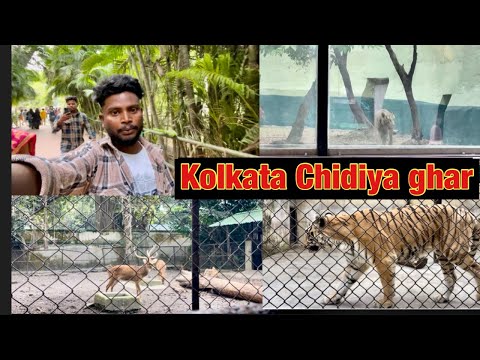 ￼ Kolkata ￼￼ chidiya￼￼ ghar 😂 #abcvlogs #ajaypoper #realfoolsteam @abcvlogs9627 ￼