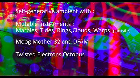 Eurorack Self generative ambient : Moog Mother32 DFAM Mutable Instruments Marbles Clouds Rings Warps