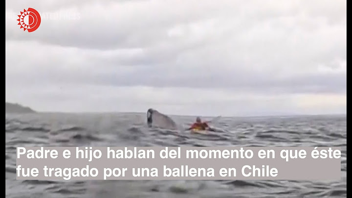 Padre e hijo hablan del momento en que éste fue tragado por una ballena en Chile