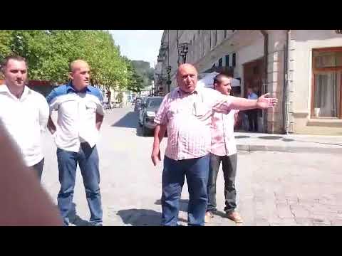 გოგი ძაღლების შესახებ