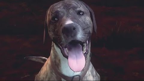 Into The Dead 2 Gameplay Part 1 Chapter 1