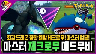 [포켓몬고] GBL 마스터리그 ‘제크로무’ 매드무비 (멜메탈/뮤츠/그란돈/디아루가) | 쟁요GO