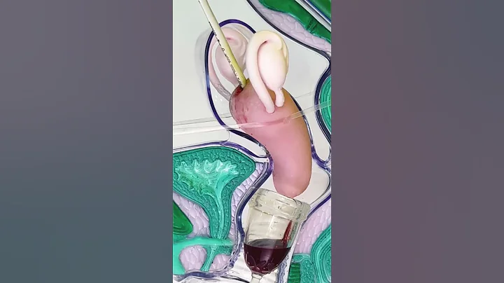 So that’s what that looks like | menstrual cup demo #shorts