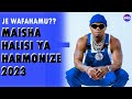 Maisha Halisi Ya Msanii HARMONIZE 2023 Baada Ya Kutoka WASAFI 