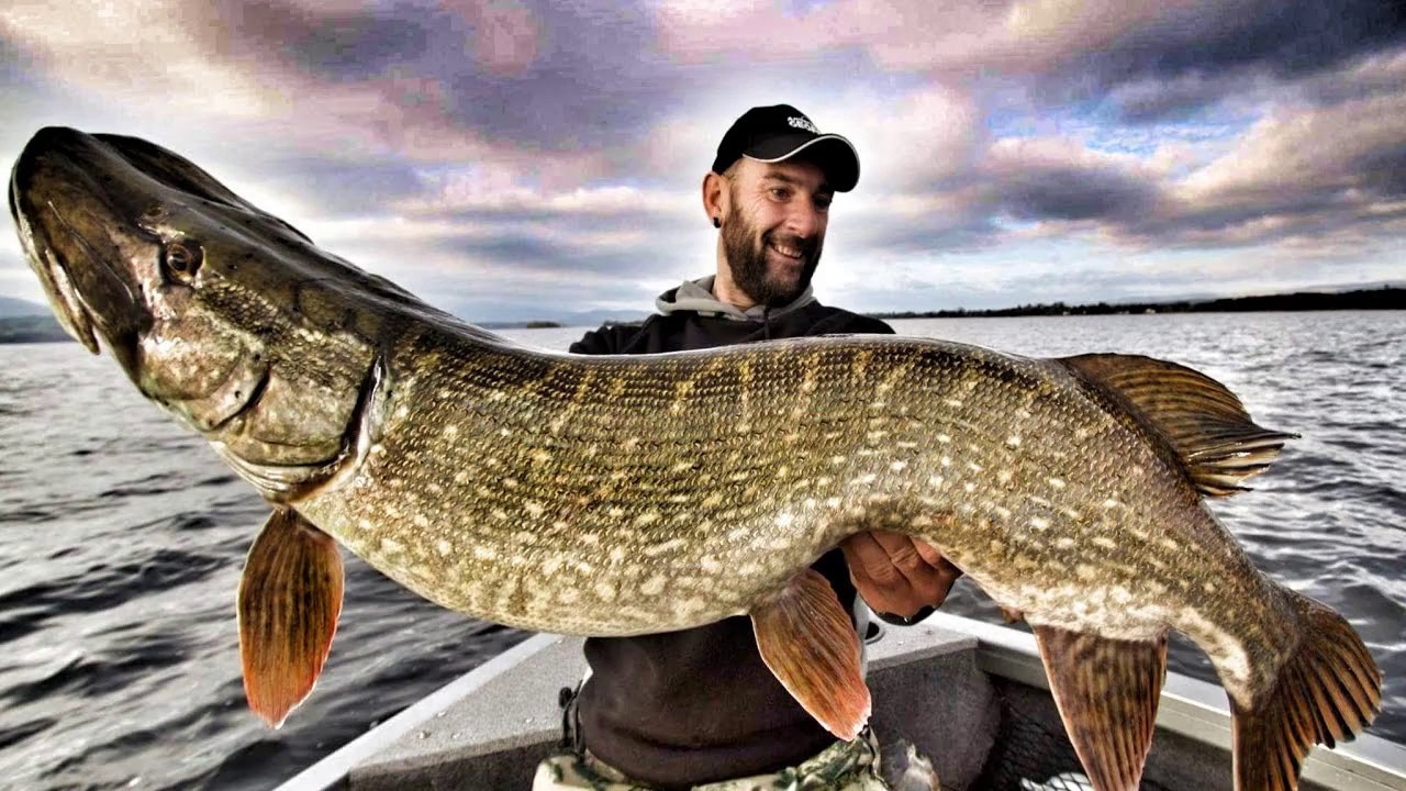 World Record : Top 10 Biggest Pike Ever - YouTube